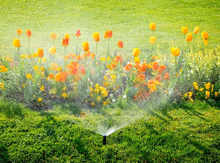 How To Keep Grass Green In Hot Weather? How To Keep Grass Green In Hot Weather?