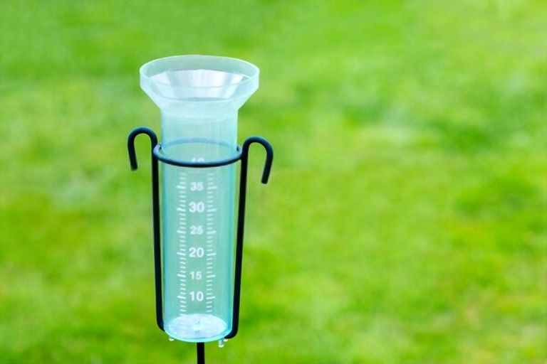 How To Keep Grass Green In Hot Weather? How To Keep Grass Green In Hot Weather?