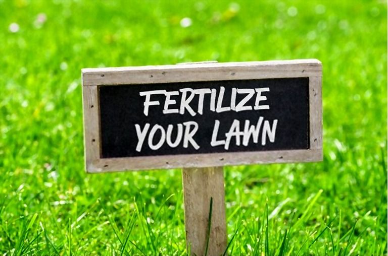 How To Keep Grass Green In Hot Weather? How To Keep Grass Green In Hot Weather?