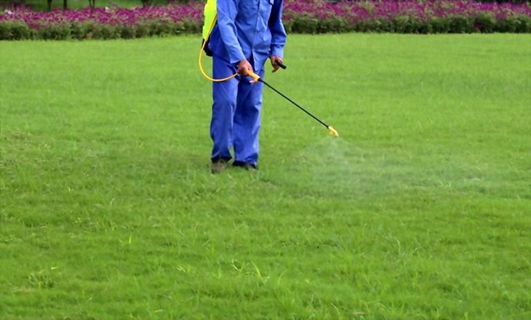 How To Keep Grass Green In Hot Weather? How To Keep Grass Green In Hot Weather?