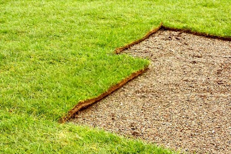 How To Keep Grass Green In Hot Weather? How To Keep Grass Green In Hot Weather?