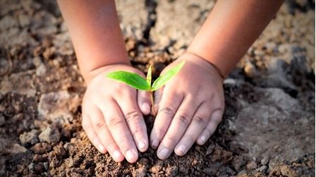 Benefits Of Gardening In Early Childhood Benefits Of Gardening In Early Childhood
