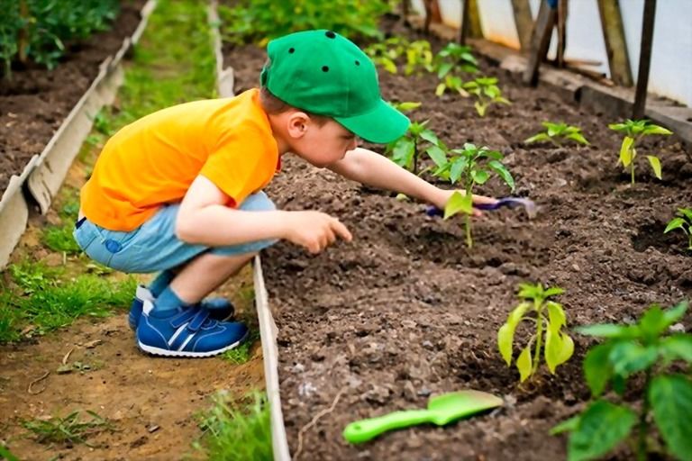 Benefits Of Gardening In Early Childhood Benefits Of Gardening In Early Childhood