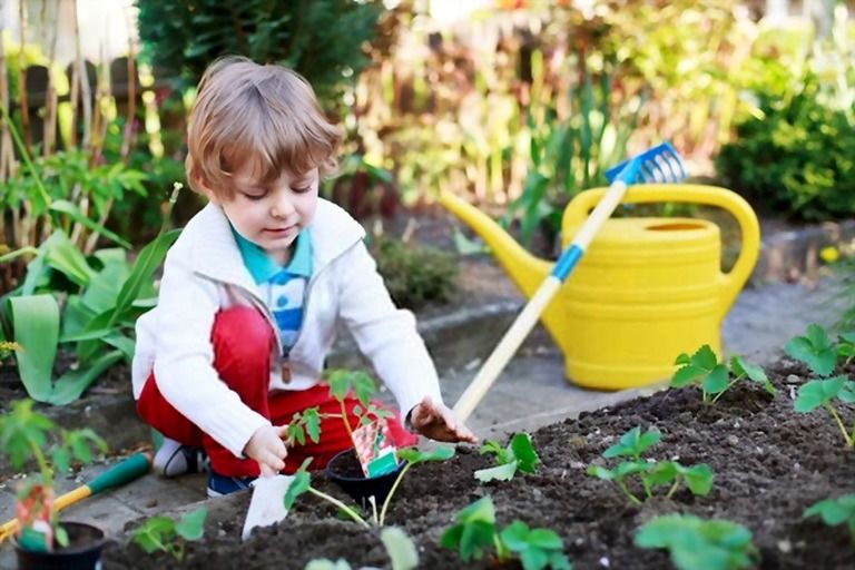 Benefits Of Gardening In Early Childhood Benefits Of Gardening In Early Childhood