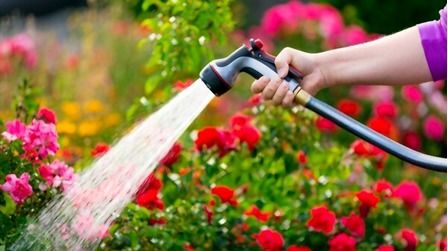 Best Non Kinking Garden Hose of 2025: Top 6 Picks Best Non Kinking Garden Hose of 2025: Top 6 Picks