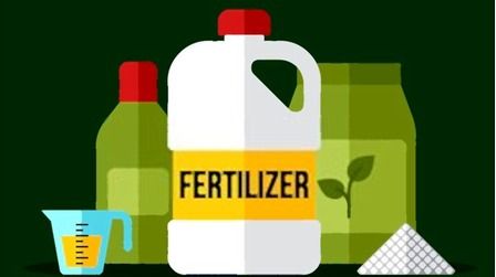 What Are The Three Main Types Of Fertilizers?