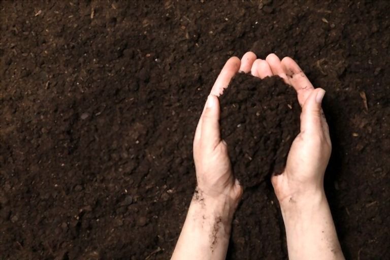 What Are The Three Main Types Of Fertilizers? What Are The Three Main Types Of Fertilizers?