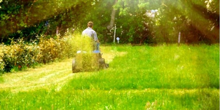 What Is The Fastest Way To Mow A Lawn? What Is The Fastest Way To Mow A Lawn?