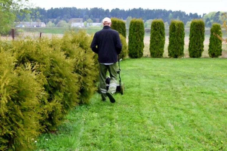What Is The Fastest Way To Mow A Lawn? What Is The Fastest Way To Mow A Lawn?