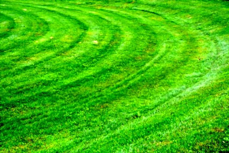 What Is The Fastest Way To Mow A Lawn? What Is The Fastest Way To Mow A Lawn?