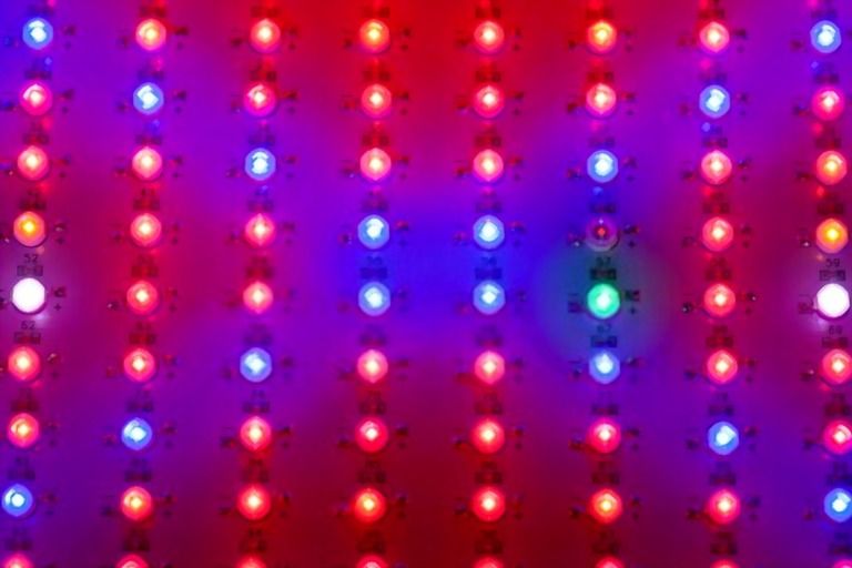 How To Use Grow Lights For Indoor Plants - Tips For Beginners How To Use Grow Lights For Indoor Plants - Tips For Beginners