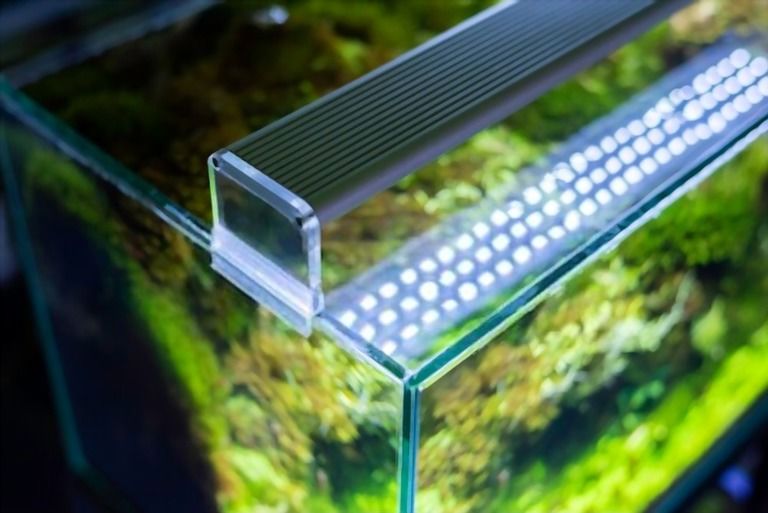How To Use Grow Lights For Indoor Plants - Tips For Beginners How To Use Grow Lights For Indoor Plants - Tips For Beginners