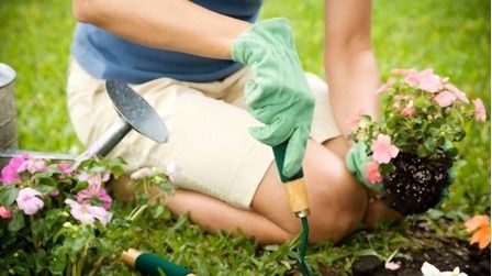 6 Best Gardening Gloves For Thorns of 2025 6 Best Gardening Gloves For Thorns of 2025