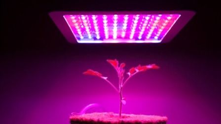 7 Best Full Spectrum Led Grow Lights of 2025