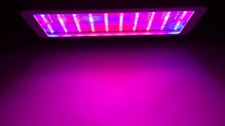 6 Best Grow Lights For Orchids of 2025 6 Best Grow Lights For Orchids of 2025