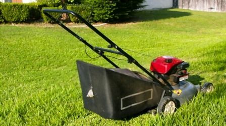 Best Self Propelled Mulching Lawn Mower of 2026: Top 6 Picks
