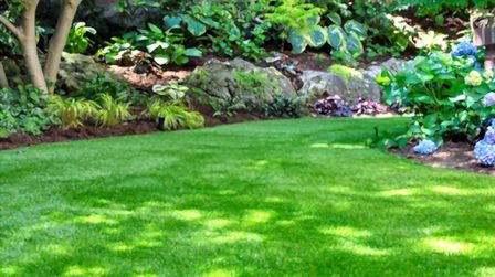 6 Most Realistic Artificial Grass of 2025 6 Most Realistic Artificial Grass of 2025