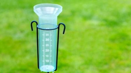 6 Best Rain Gauges of 2025