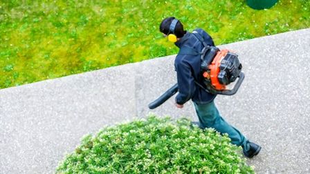 10 Best Gas Powered Leaf Blowers of 2026