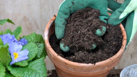 Best Potting Mix For Container Gardening of 2025: Top 6 Picks