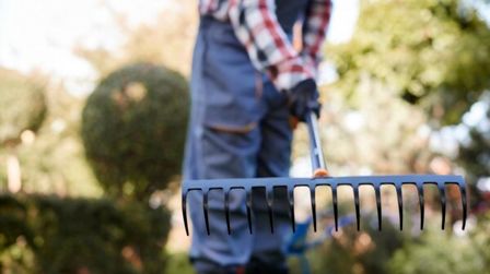 Best Rake For Acorns of 2026: Top 6 Picks