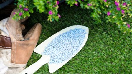 Best Fertilizer For Grass In Summer of 2025: Top 6 Picks