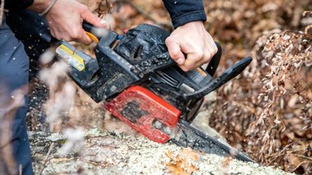 6 Best Small Gas Powered Chainsaws of 2026
