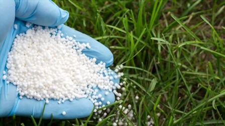 Best Fertilizer For Grass In Spring of 2025: Top 6 Picks