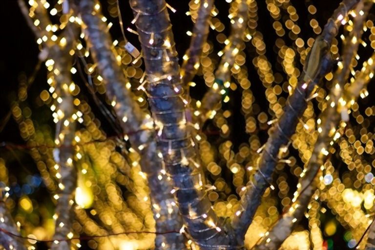 How To String Lights Across Backyard? How To String Lights Across Backyard?