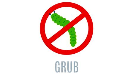 Best Grub Killer For Lawn of 2025: Top 5 Picks