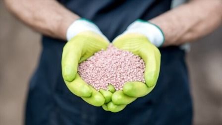 Best Fertilizer For Sandy Soil of 2025: Top 6 Picks