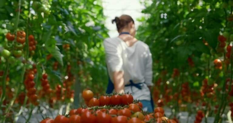 What Can We Do To Show Our Support For Locally Grown Produce? What Can We Do To Show Our Support For Locally Grown Produce?