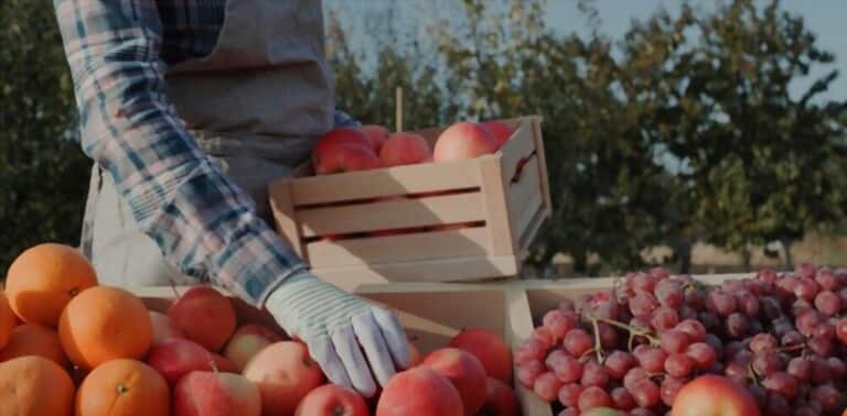 What Can We Do To Show Our Support For Locally Grown Produce? What Can We Do To Show Our Support For Locally Grown Produce?