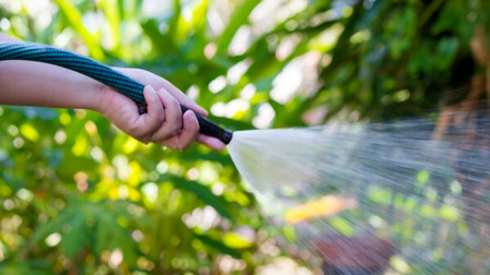 6 Best Flexible Garden Hoses of 2025