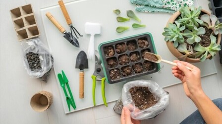 6 Best Soil For Starting Seeds Indoors of 2025