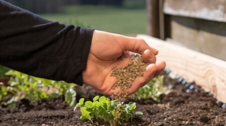 Best Fertilizer For Raised Bed Vegetable Garden of 2025: Top 6 Picks