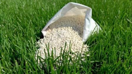 Best Lawn Fertilizer With Crabgrass Preventer of 2025: Top 6 Picks Best Lawn Fertilizer With Crabgrass Preventer of 2025: Top 6 Picks