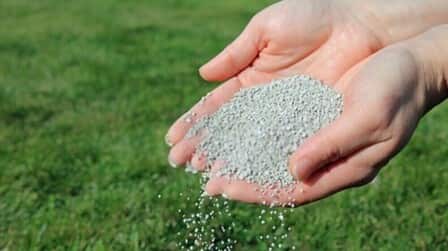 Best Granular Insecticide For Lawns of 2025: Top 6 Picks
