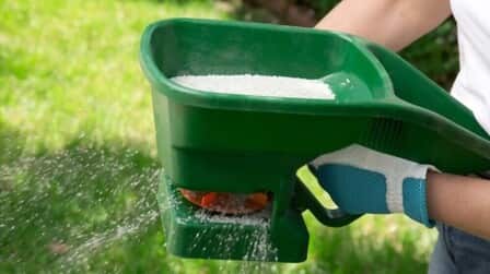 Best Fertilizer For Kentucky Bluegrass of 2025: Top 6 Picks Best Fertilizer For Kentucky Bluegrass of 2025: Top 6 Picks