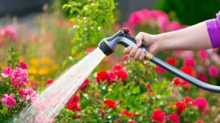 6 Best 50 Ft Garden Hoses of 2025