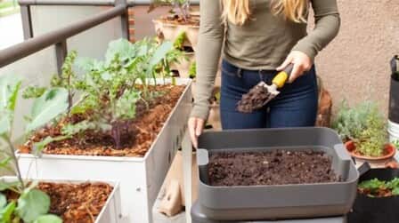 6 Best Soil Amendments For Vegetable Garden of 2025