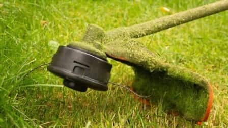 9 Strongest Weed Eater Strings of 2025