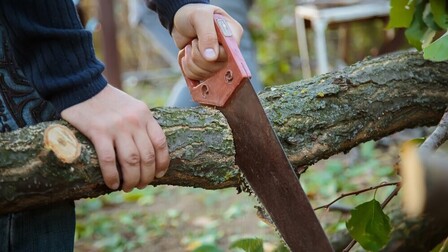 8 Best Hand Saws For Cutting Trees of 2026