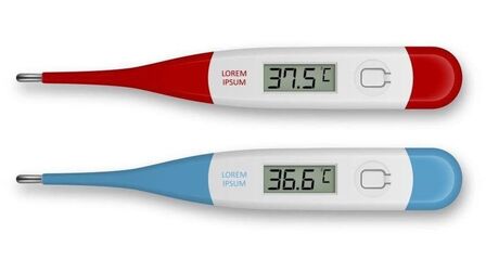 6 Most Accurate Outdoor Thermometers of 2025