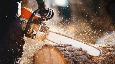 9 Best 16-Inch Chainsaws of 2026