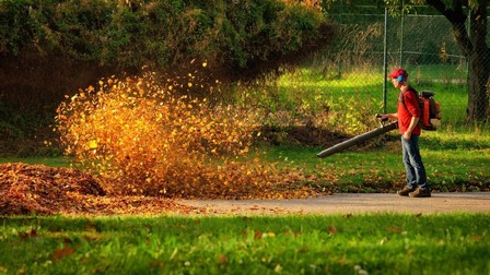 12 Highest CFM Leaf Blowers of 2026