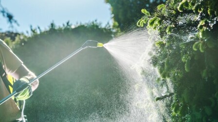 6 Best Insecticides For Spiders of 2025