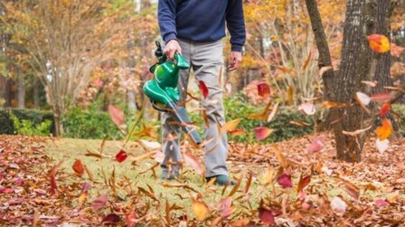 9 Best Cordless Leaf Blowers With Battery And Charger of 2026