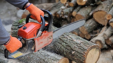 9 Best Chainsaws For The Money of 2025