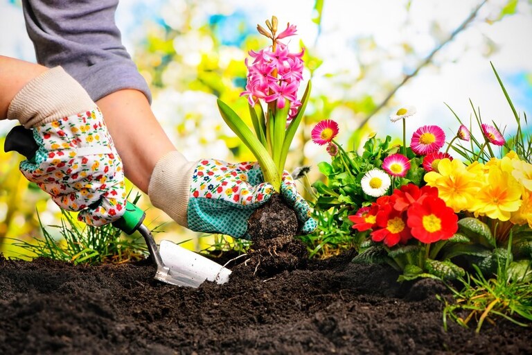 Outdoor Decorating Ideas On A Budget Outdoor Decorating Ideas On A Budget